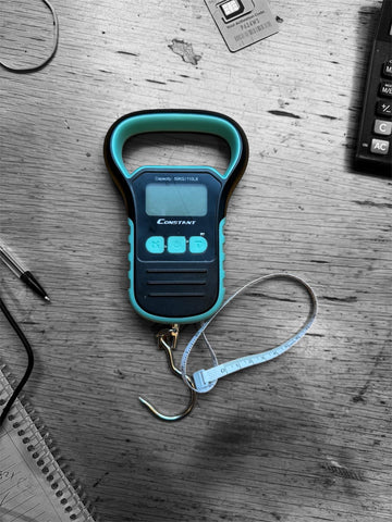Constant Electronic Hanging Scale – 50kg Max Capacity